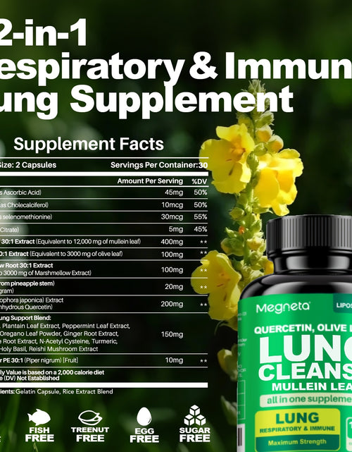 Load image into Gallery viewer, Megneta Lung Cleanse Supplement - Natural Mullein Leaf Capsules For Lung Health And Respiratory System Clear - Plus With Vitamin C, Vitamin D3, Selenium, Zinc, Bromelain, Quercetin - 60 Capsules