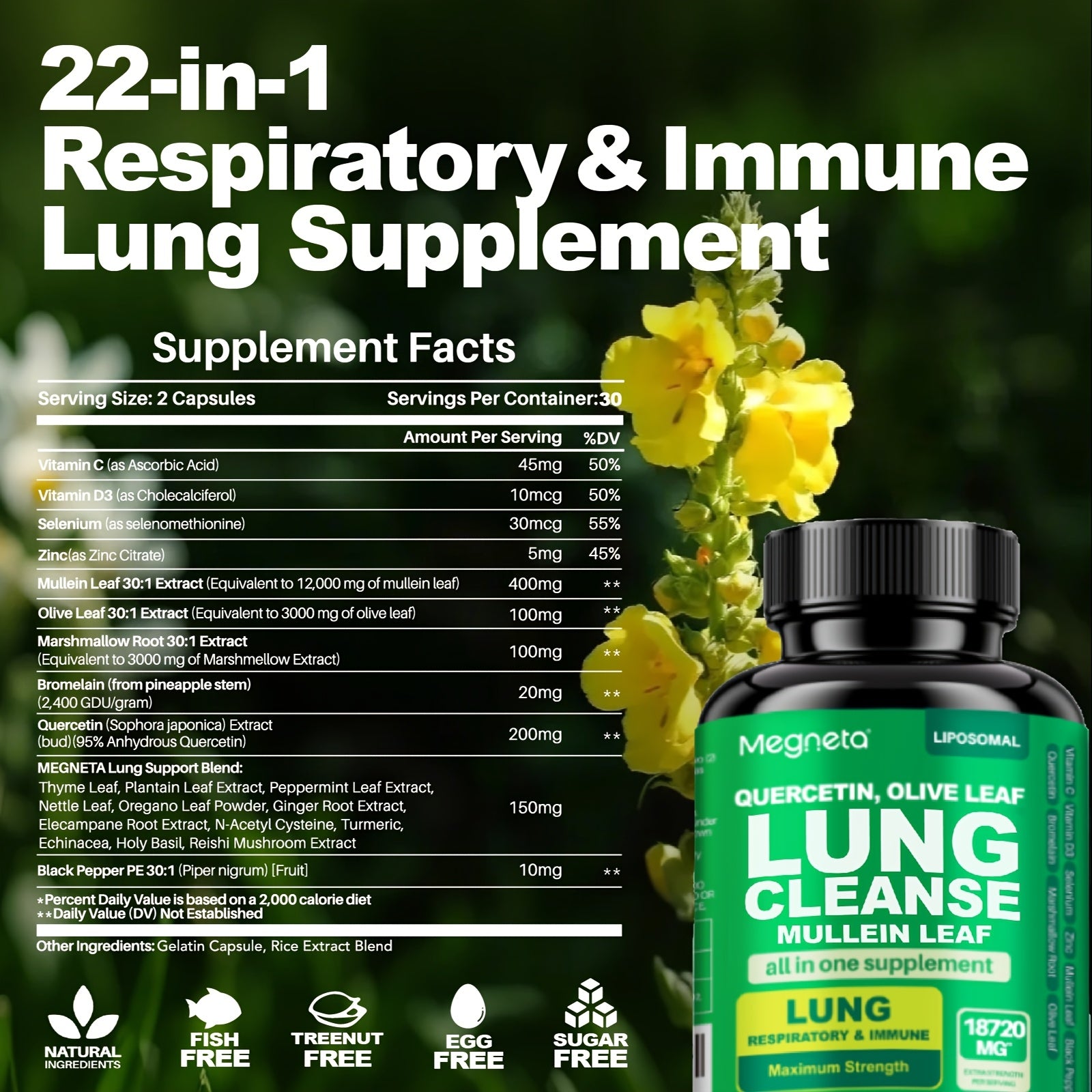 Megneta Lung Cleanse Supplement - Natural Mullein Leaf Capsules For Lung Health And Respiratory System Clear - Plus With Vitamin C, Vitamin D3, Selenium, Zinc, Bromelain, Quercetin - 60 Capsules