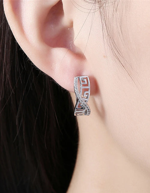 Load image into Gallery viewer, 925 Sterling Silver Classic AAA Zircon Earrings Fashion
