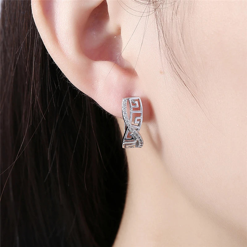 925 Sterling Silver Classic AAA Zircon Earrings Fashion