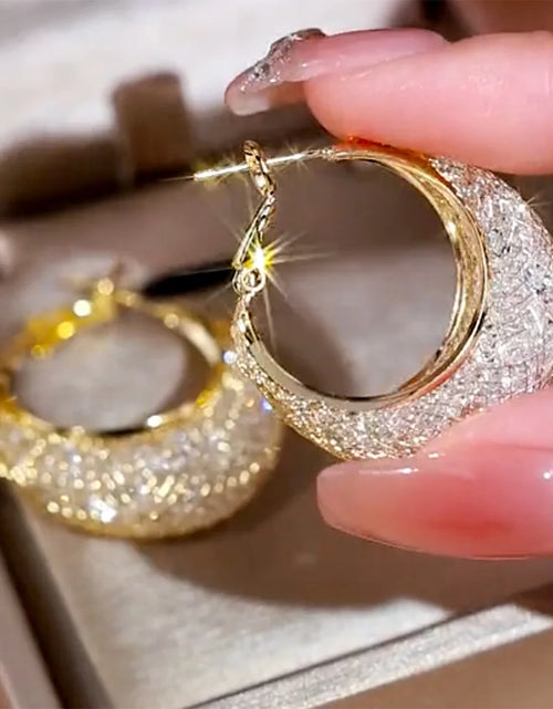 Load image into Gallery viewer, New Fashion Trend Unique Design Elegant Exquisite Luxury Mesh Zircon Earrings for Women