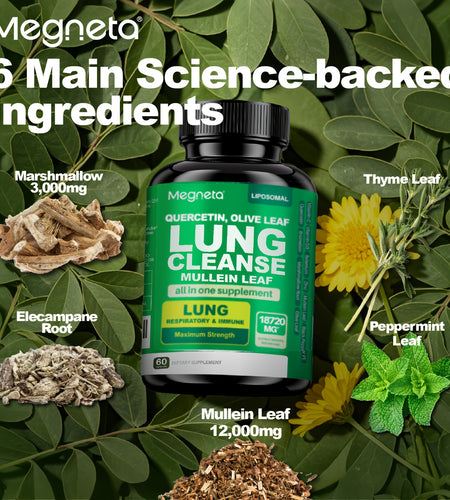 Megneta Lung Cleanse Supplement - Natural Mullein Leaf Capsules For Lung Health And Respiratory System Clear - Plus With Vitamin C, Vitamin D3, Selenium, Zinc, Bromelain, Quercetin - 60 Capsules