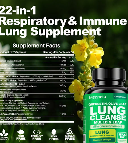 Megneta Lung Cleanse Supplement - Natural Mullein Leaf Capsules For Lung Health And Respiratory System Clear - Plus With Vitamin C, Vitamin D3, Selenium, Zinc, Bromelain, Quercetin - 60 Capsules